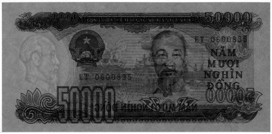 Vietnam 50000 Dong 1994 banknote, watermark