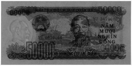 Vietnam 50,000 Dong 1990 banknote, 50000₫, watermark
