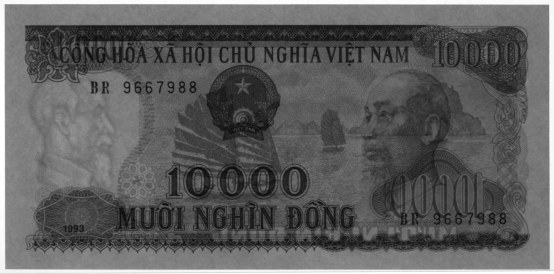 Vietnam 10000 Dong 1993 banknote, watermark