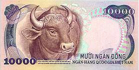 Vietnam banknote