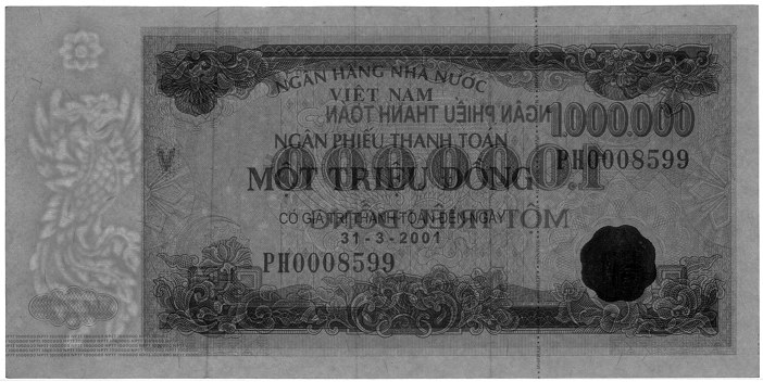 Vietnam banknote Ngan Phieu 1000000 Dong 2000 (31-03-2001), watermark