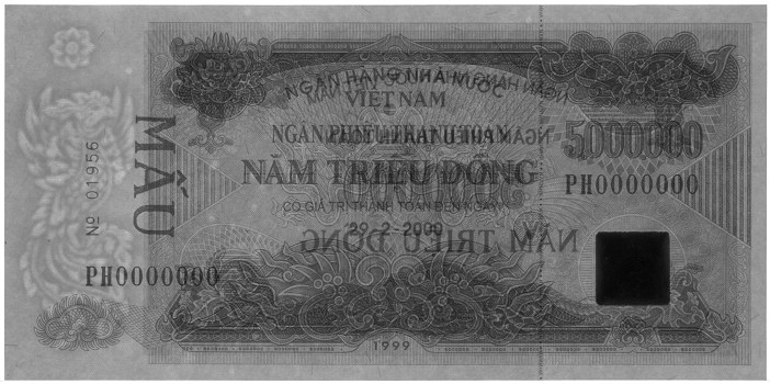 Vietnam banknote Ngan Phieu 5000000 Dong 1999 (29-02-2000), watermark