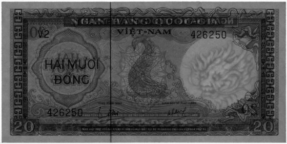 South Vietnam banknote 20 Dong 1964, watermark, Dragon head