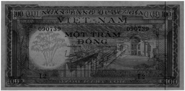 South Vietnam banknote 100 Dong 1960, watermark, bamboo