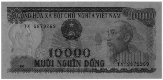 Vietnam 10,000 Dong 1993 banknote, 10000₫, watermark