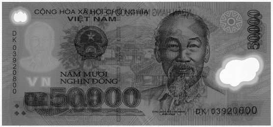 Vietnam polymer 50,000 Dong 2003 banknote, 50000₫, watermark