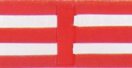 Vietnam Restoration National Alliance new national flag
