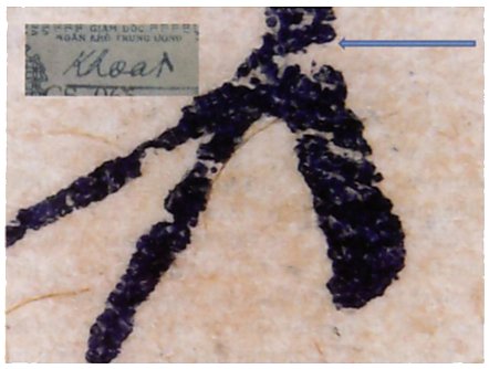North Vietnam banknote under magnification