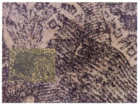 North Vietnam banknote under magnification