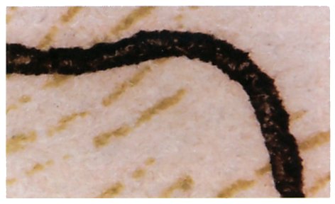 1000x magnification of the banknote area