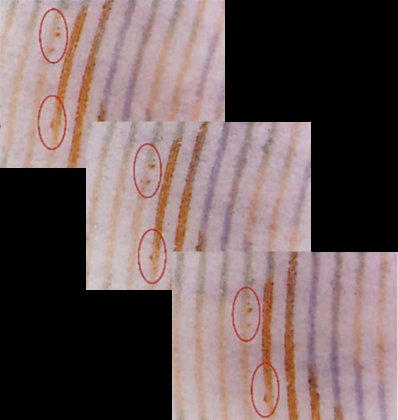 Magnified banknote fragments